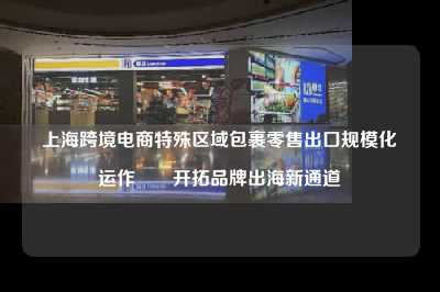 上海跨境电商特殊区域包裹零售出口规模化运作――开拓品牌出海新通道