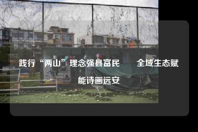 践行“两山”理念强县富民――全域生态赋能诗画远安