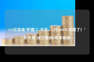 312亿资金